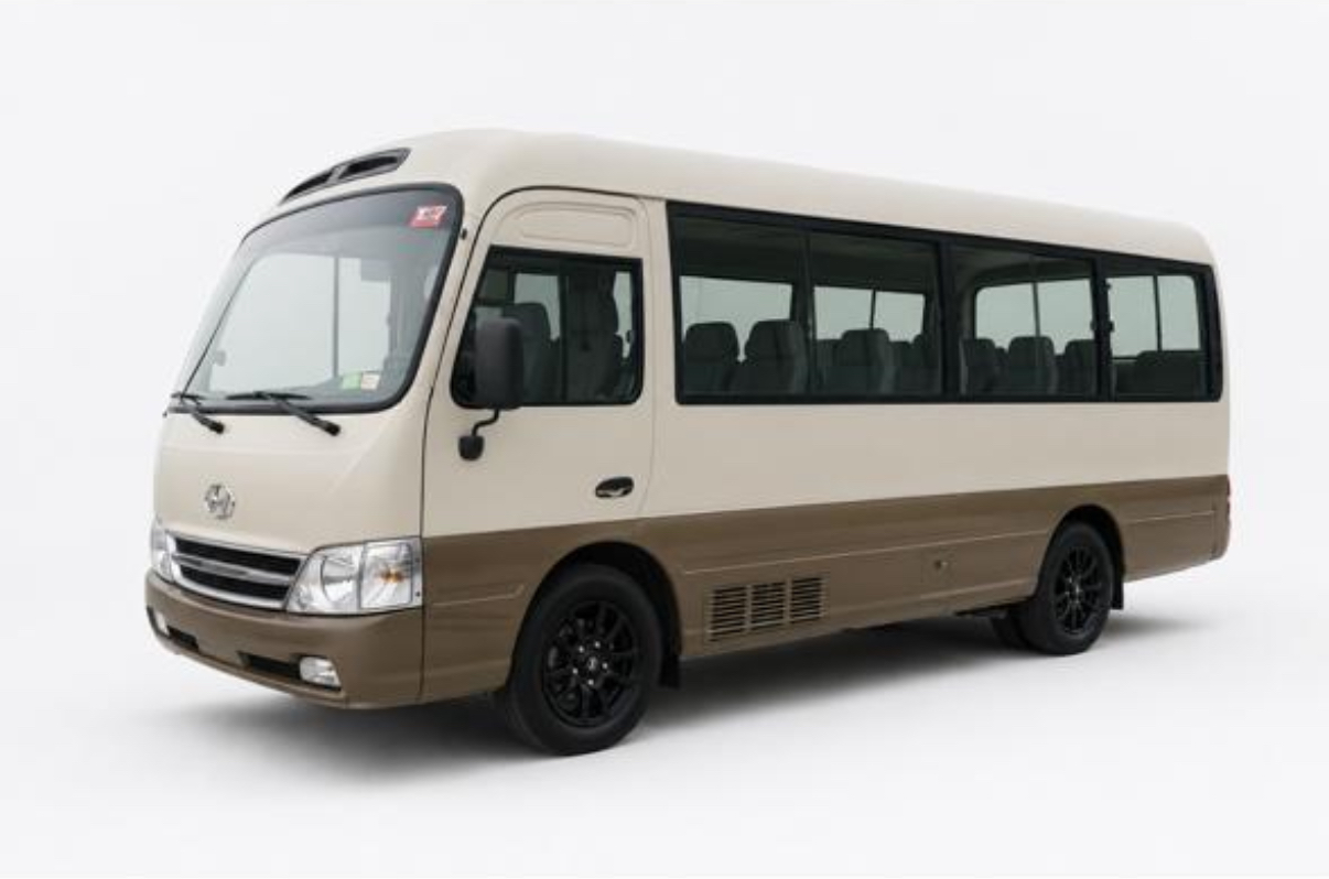 Hyundai County 2009